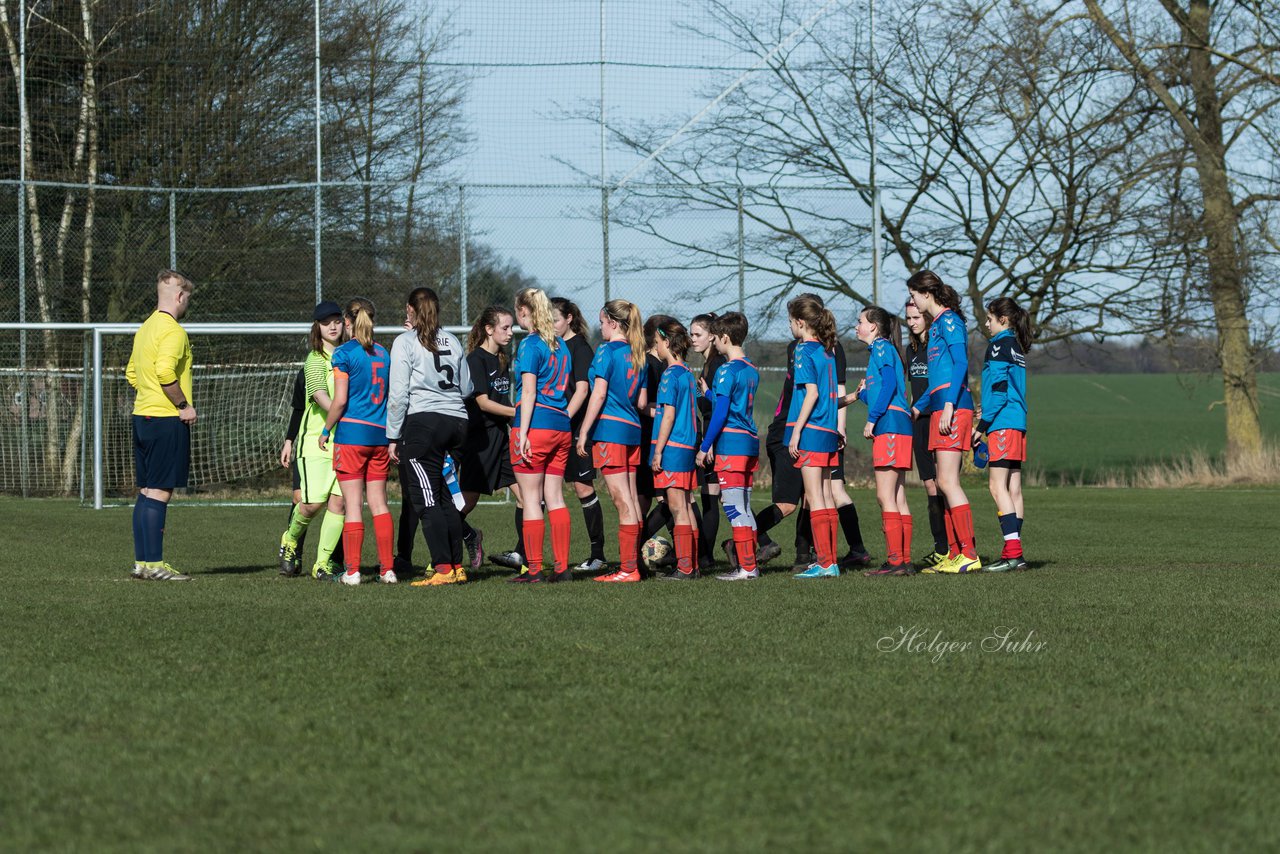 Bild 300 - C-Juniorinnen SV Steinhorst/Labenz - TSV Friedrichsberg-Busdorf : Ergebnis: 5:0